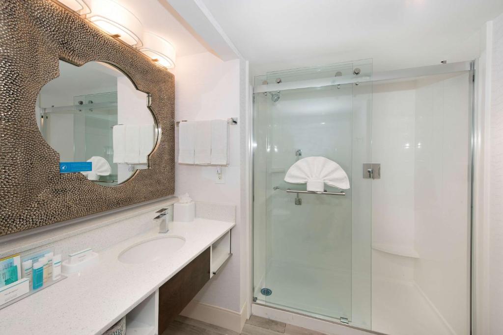 Hampton Inn & Suites Atlanta-Galleria photo
