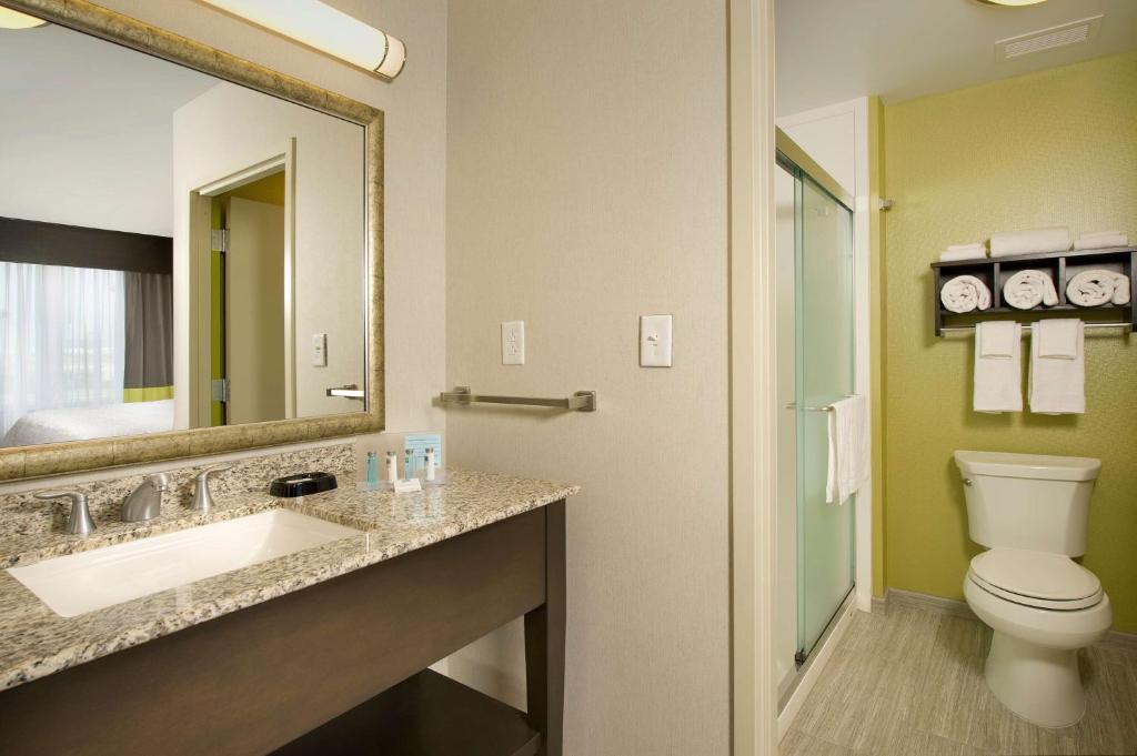 Hampton Inn & Suites - Buffalo Airport - King Studio Suite - Niet -roken