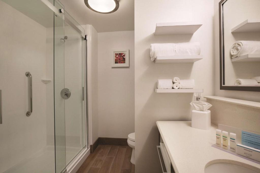 Koupelna v ubytování Hampton Inn Brigham City
