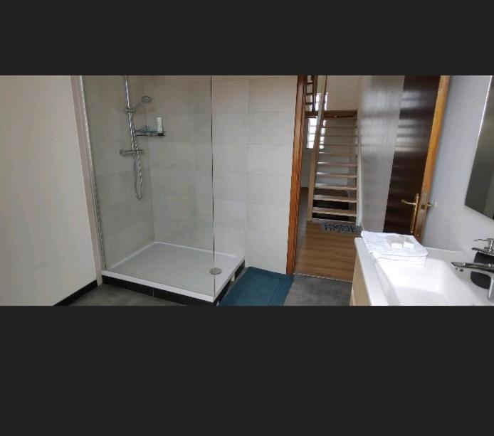 uma casa de banho com um chuveiro e um lavatório. em Room Marci- SweetHome em Marcinelle