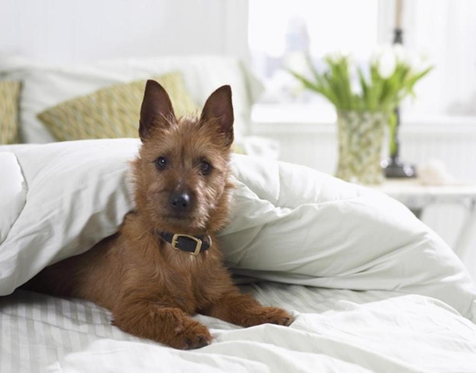 iCheck inn Residences Sathorn - Resim 31