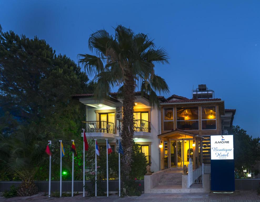 a house with a palm tree in front of it at Amore Hotel Teki̇rova in Tekirova