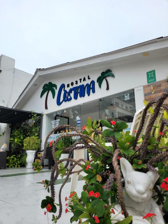 Costana - Hostal في كارتاهينا دي اندياس: يوجد متجر بالنباتات أمام مبنى