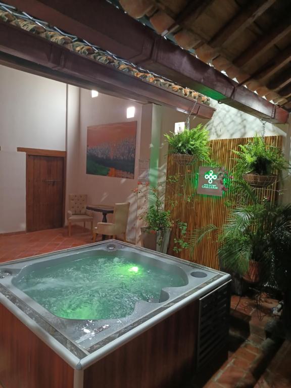 uma grande banheira de hidromassagem num quarto com plantas em Hotel Boutique Casa Gerar em Santa Cruz de Mompox