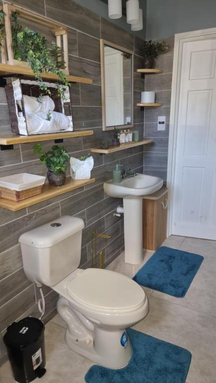 een badkamer met een toilet en een wastafel bij Homely Escapes by Pulse in Loubiere