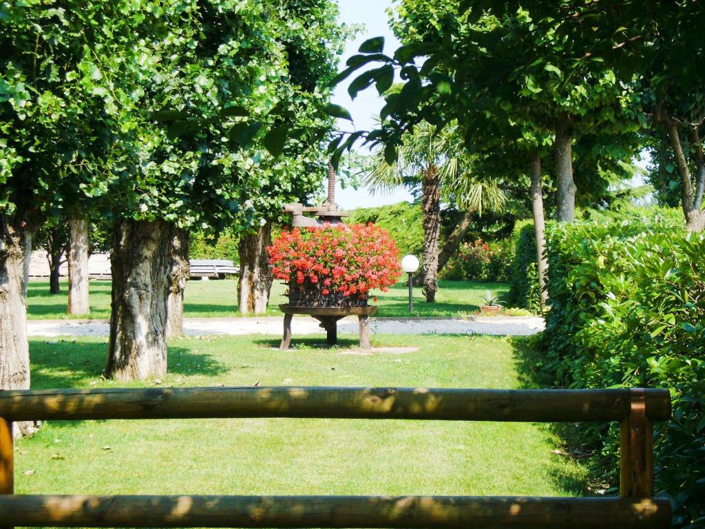Zahrada ubytování Agriturismo Le Cipressine