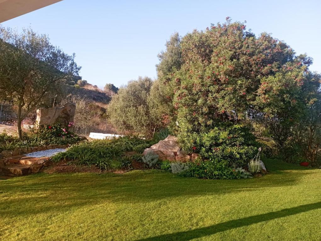 a garden with green grass and a large tree at Sea & Country Rooms in Golfo Aranci