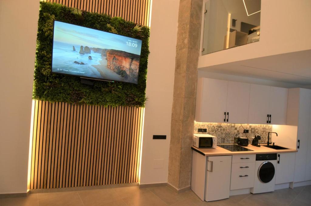 uma cozinha com uma televisão de ecrã plano na parede em BIBLIOTECA DE LUJO EN EL CENTRO HISTORICO DE MÁLAGa em Málaga