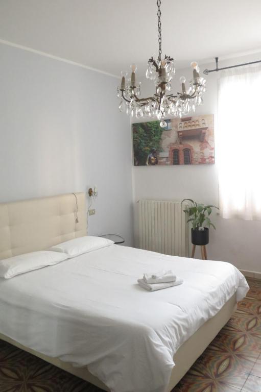 Apartment with lovely garden - Appartamento - Piano Terra