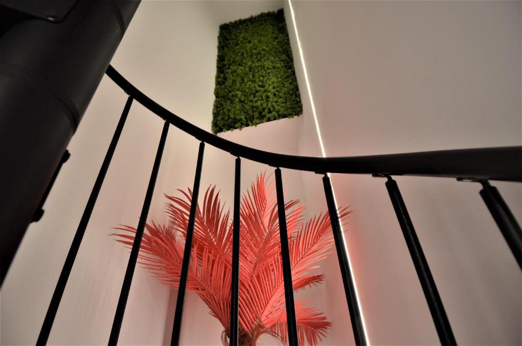 BIBLIOTECA DE LUJO EN EL CENTRO HISTORICO DE MÁLAGa - 14