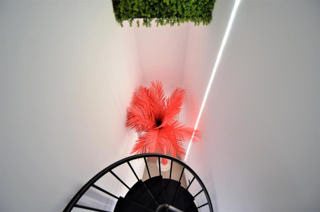 BIBLIOTECA DE LUJO EN EL CENTRO HISTORICO DE MÁLAGa - 12