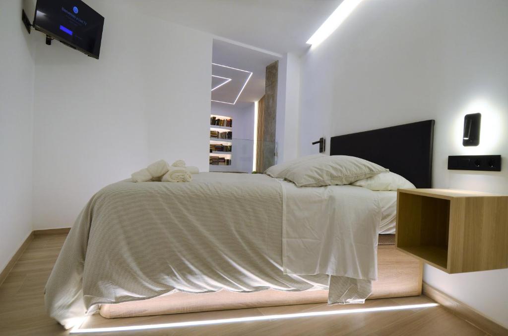 BIBLIOTECA DE LUJO EN EL CENTRO HISTORICO DE MÁLAGa - 15