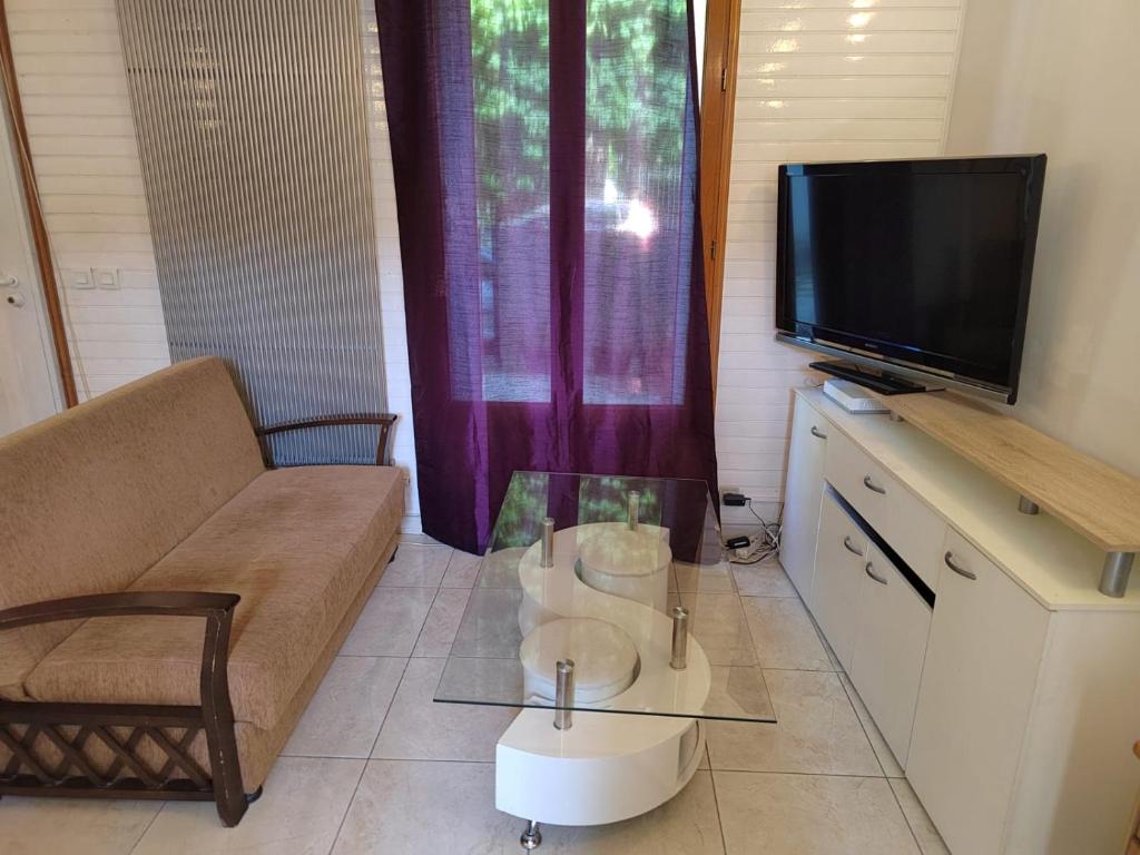 un salon avec un canapé et une télévision à écran plat dans l'établissement Studio détente, à Montreuil