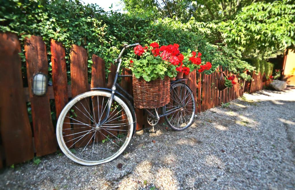 a bike parked next to a fence with flowers in a basket at Zielony Zakątek in Iława