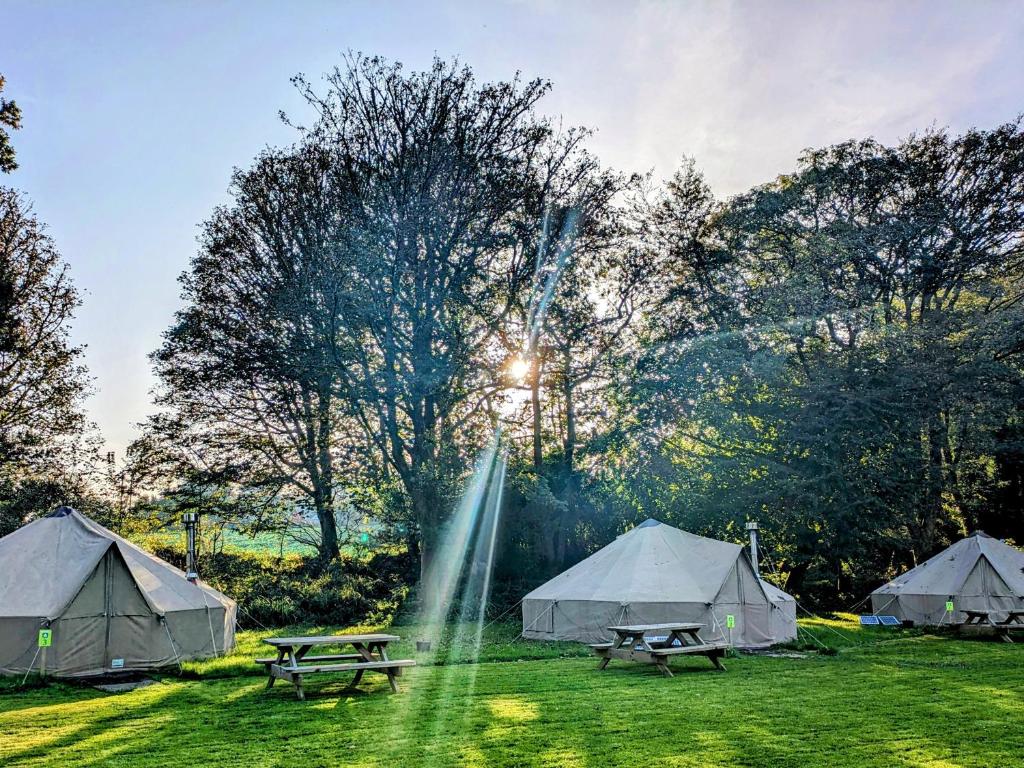 YHA Penzance - Tienda De Campana Premium