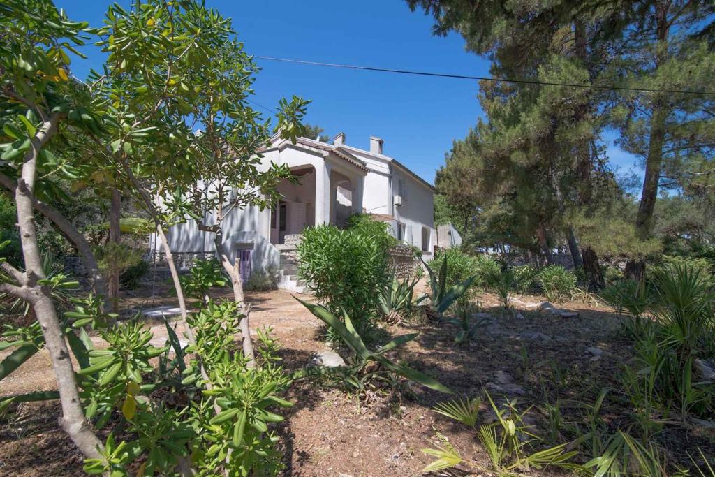 Zahrada ubytování Apartment in Veli Losinj 34691