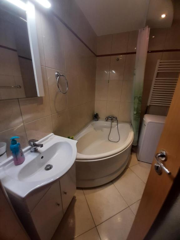 uma casa de banho com uma banheira e um lavatório em Apartament Crăciunița em Timisoara