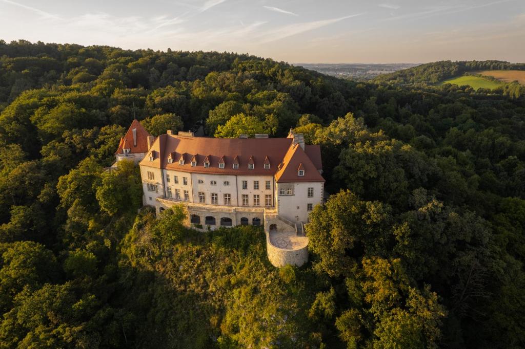 una vista aérea de un castillo en el bosque en Zinar Castle, en Cracovia