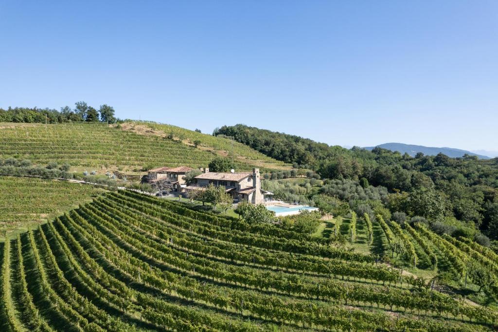 a house on a hill next to a vineyard at Lis Fadis Wine Relais in Cividale del Friuli