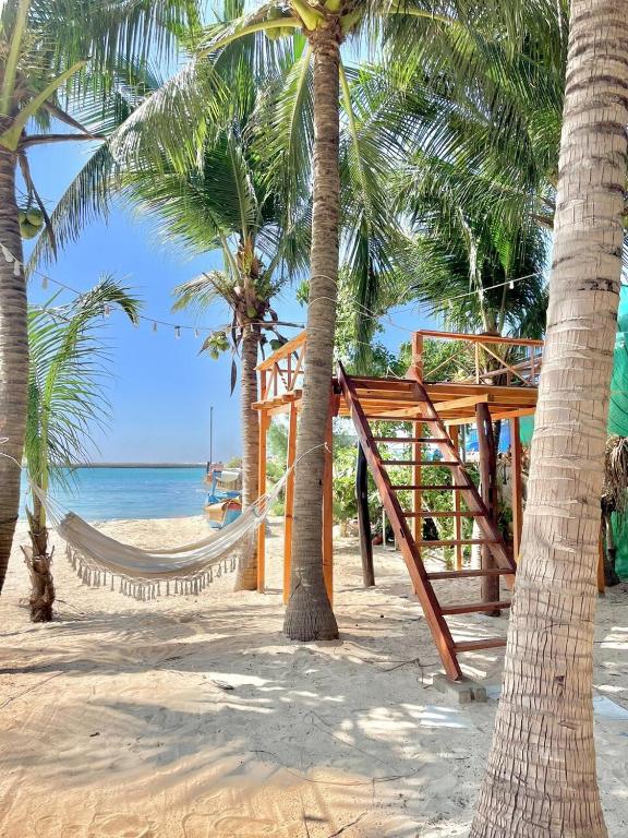 a playground on the beach with palm trees at Mộc Homestay Đảo Phú Quý in Cu Lao Thu