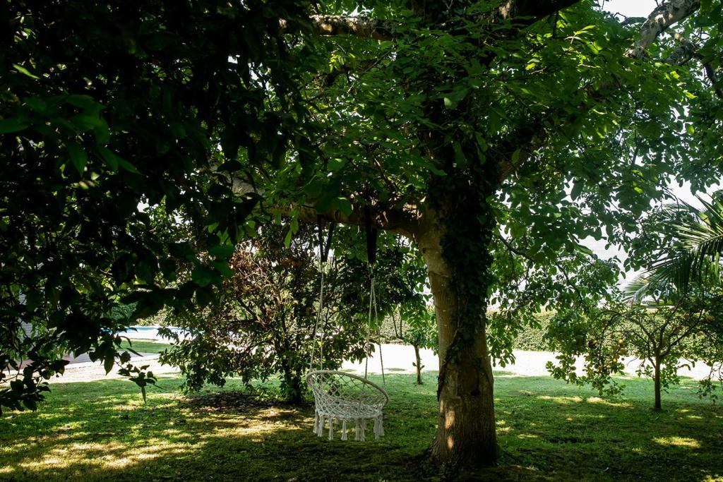 Apartamentos Redondela - A Casa da Praia - 6