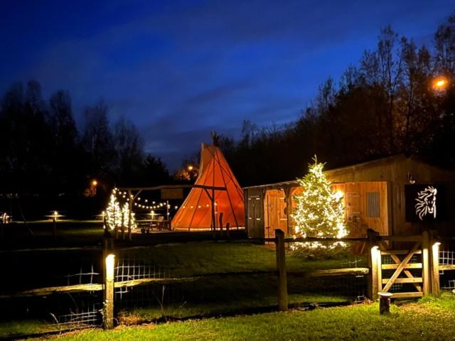 a house with christmas lights and a christmas tree at Cabin Margot with hot tub in private garden in Kaprijke