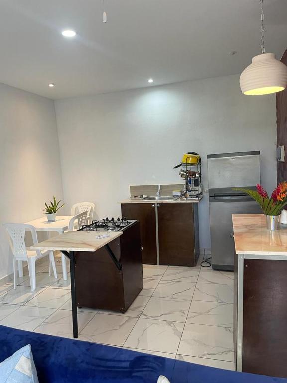 a kitchen with a counter and a table and a stove at THOMAS BOND APARTAMENTOS in Santa Bárbara de Samaná