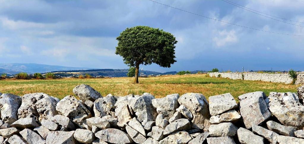 L'aria ro munti
