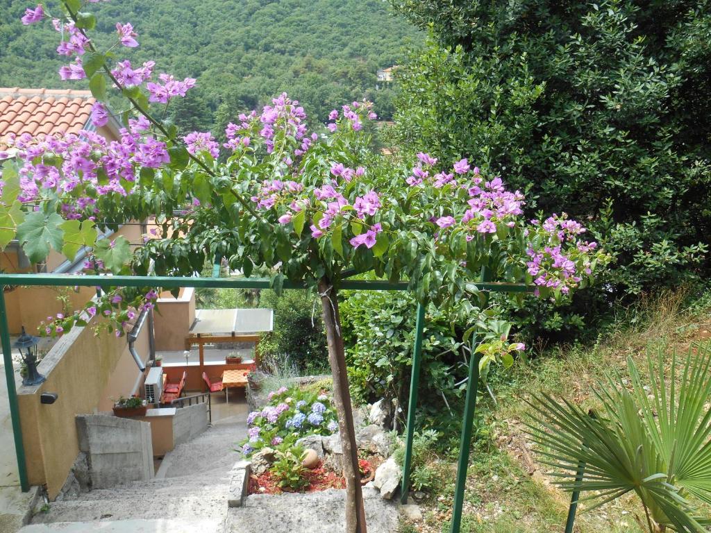 Giardino di Rooms Irena Gregov
