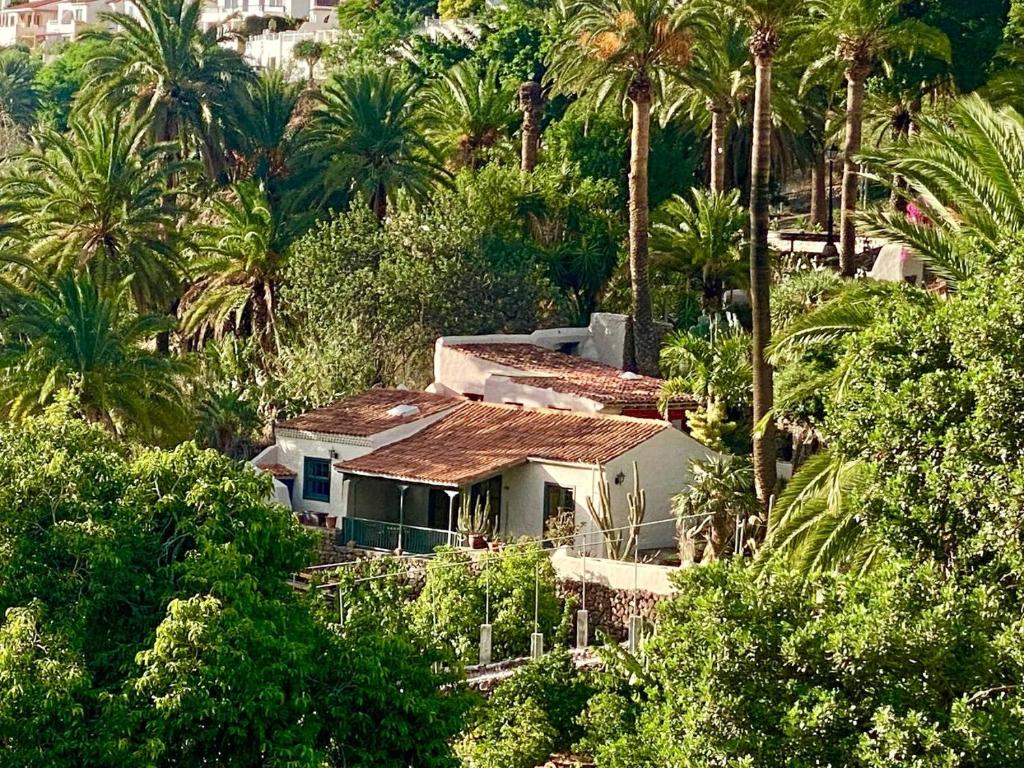 une maison sur le flanc d'une colline avec des palmiers dans l'établissement Finca Origen · Casa Trinidad · Rural· Unique, à San Pedro
