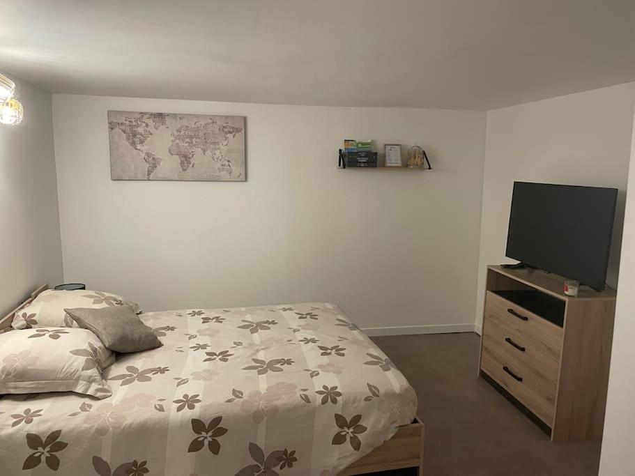 1 dormitorio con 1 cama y TV de pantalla plana en Appartement T1 renové, en Gigean