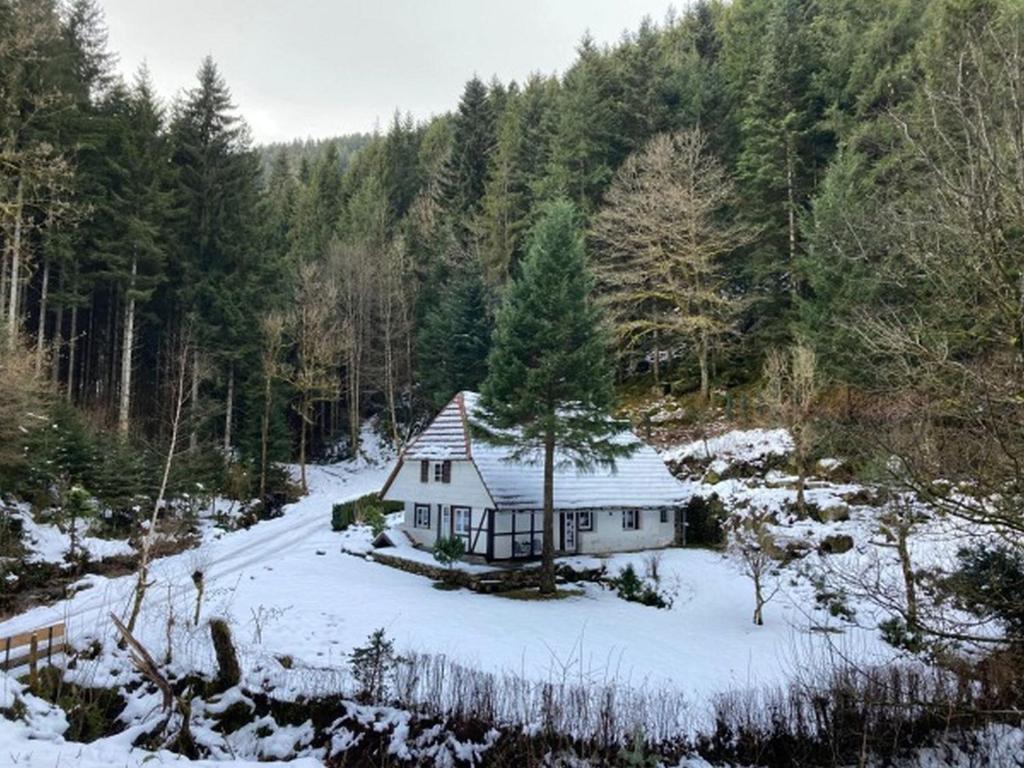 Waldbauernhof v zimě