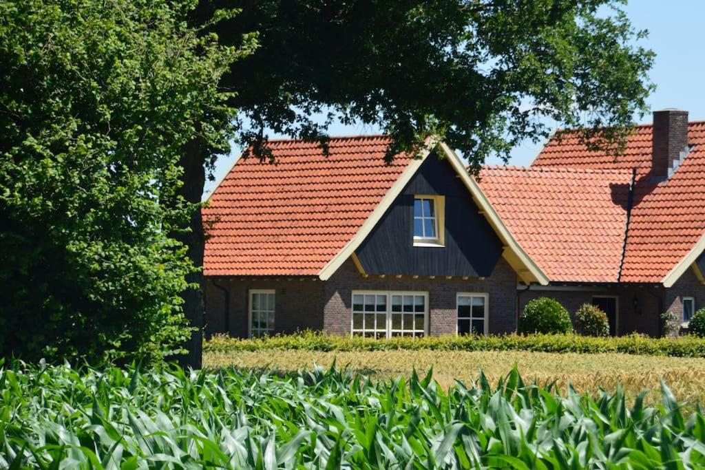 een huis met rode daken en een veld met planten bij Vakantiehuisje de Wender in Ambt Delden