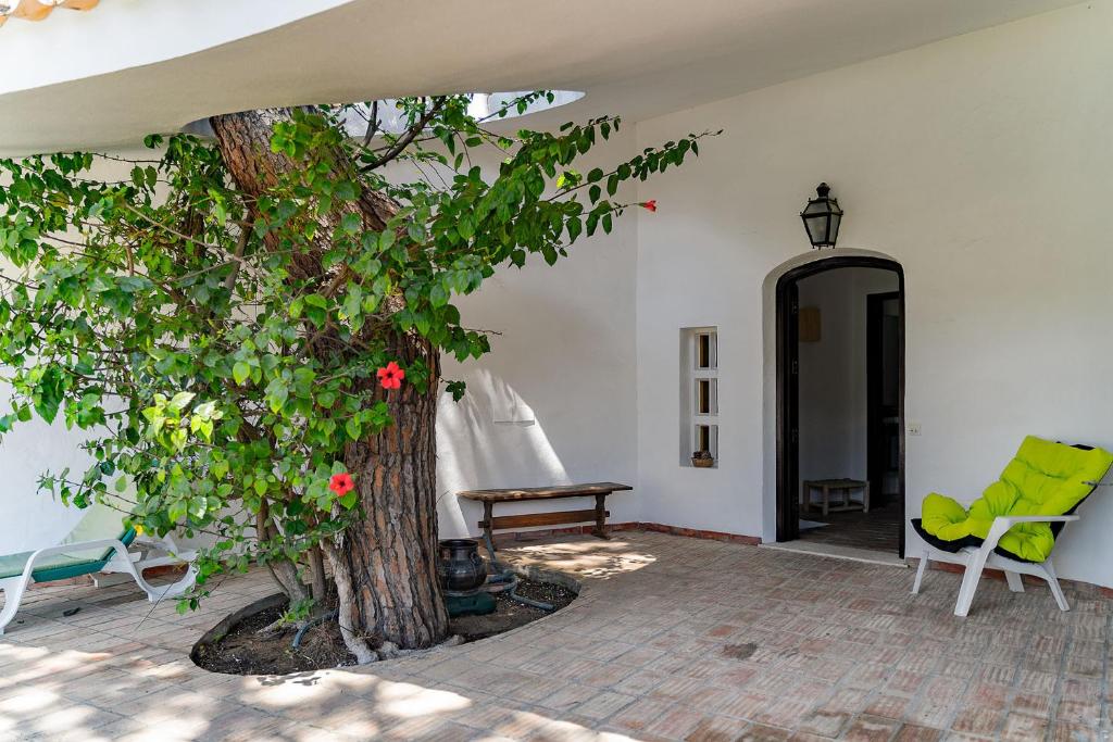 Zahrada ubytování Villa Alicia - Vilamoura