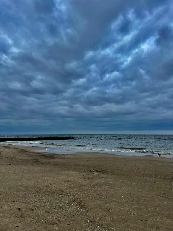 Apartamenty Sikorskiego 200 m od plaży - 11