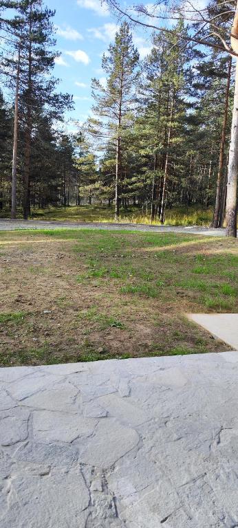 Příroda nedaleko apartmánu