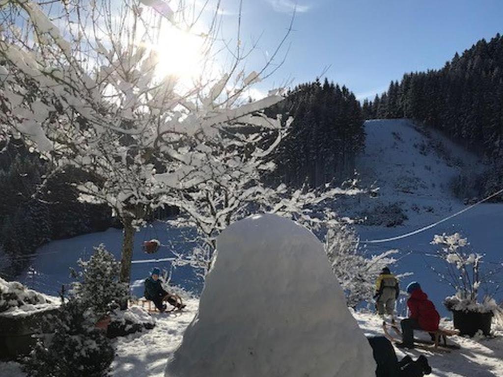 Waldbauernhof v zimě