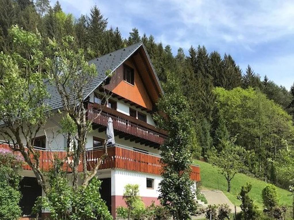 a house in the middle of a hill with trees at Waldbauernhof in Hornberg
