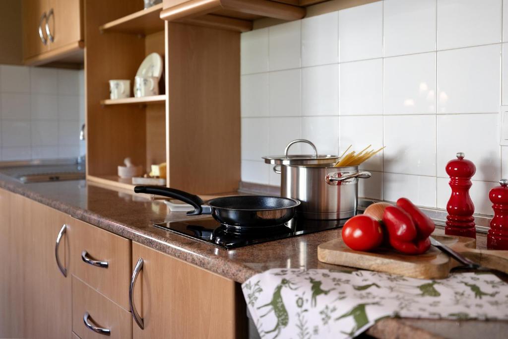 Kuchyň nebo kuchyňský kout v ubytování Apartaments Sant Bernat