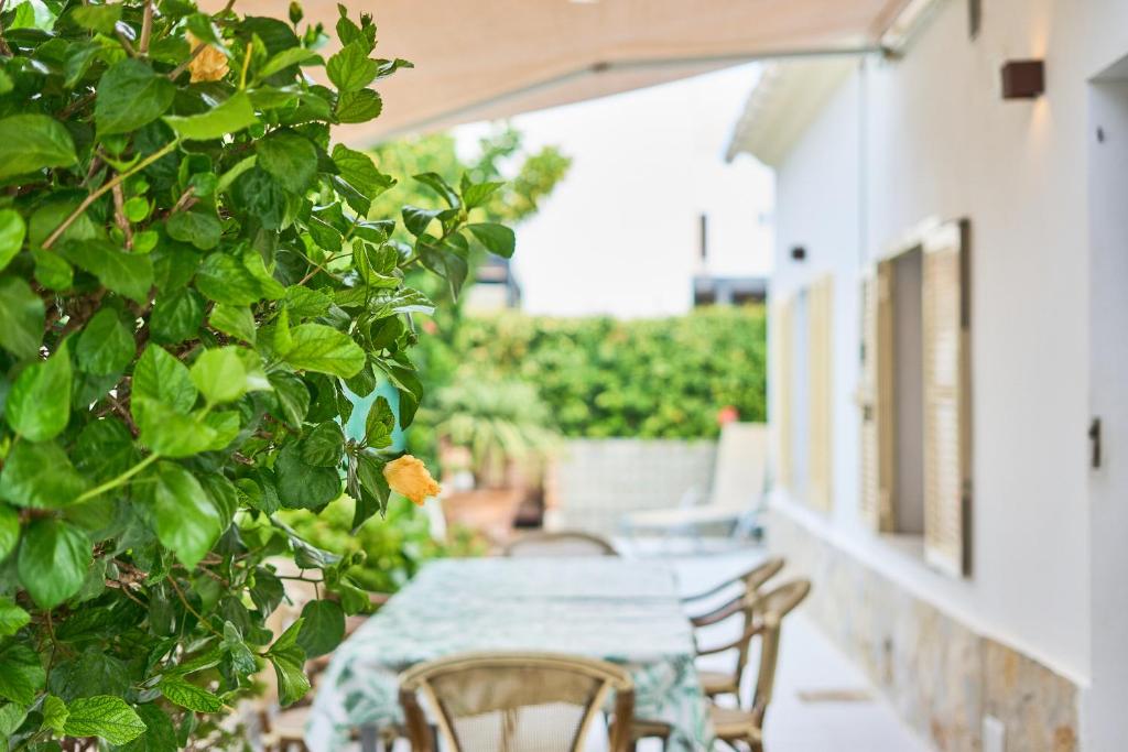 Zahrada ubytování Villa Hibiscus