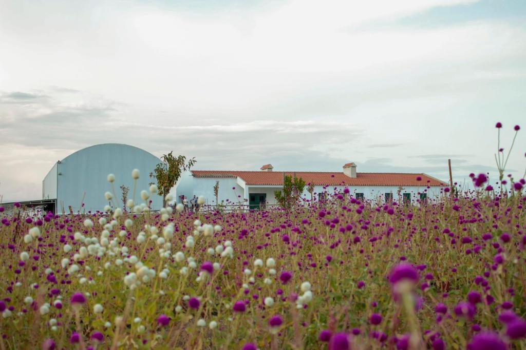 um campo de flores em frente a um edifício em Monte de Palma- Quinta Biodinâmica Momentos Únicos em Évora