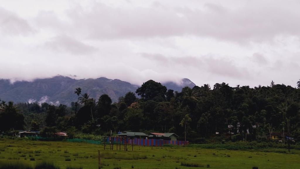 Jungleview Mudumalai - Housity