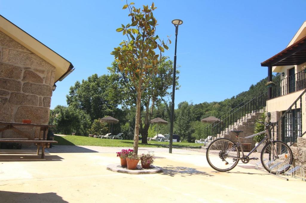 un vélo garé à côté d'un arbre à côté d'un bâtiment dans l'établissement Aldeia do Tâmega, à Amarante