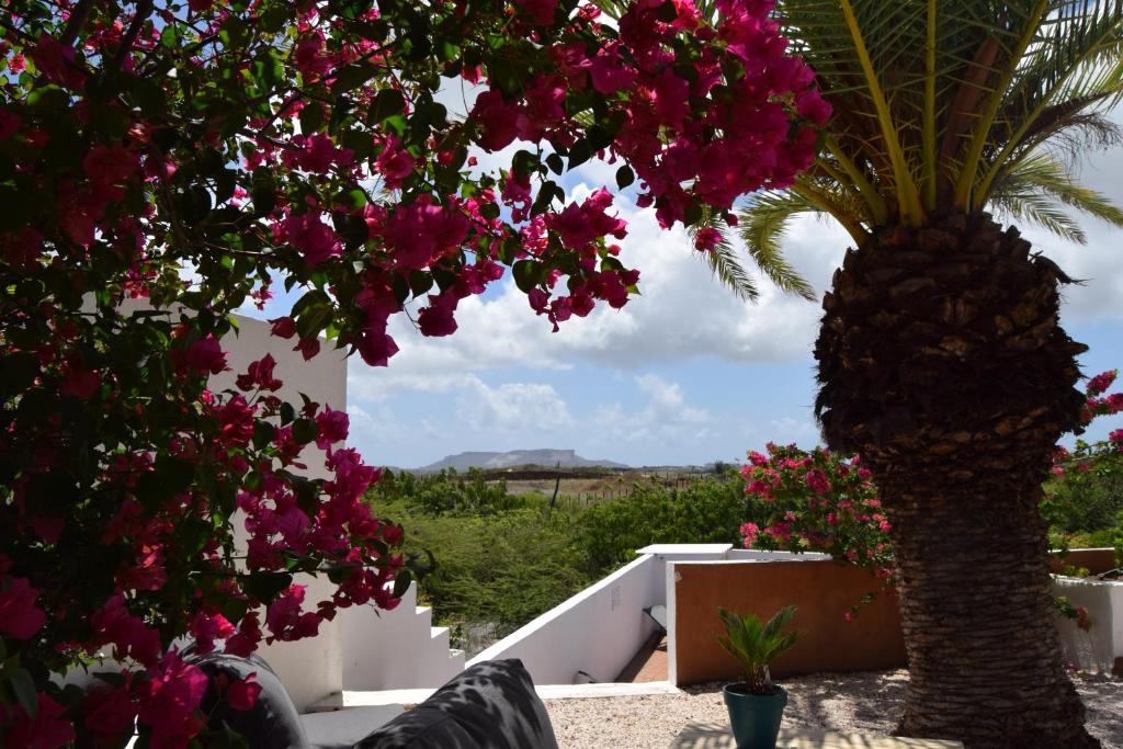 a view of a palm tree with pink flowers at Saint Joris a tiny Boutique Resort in Willemstad