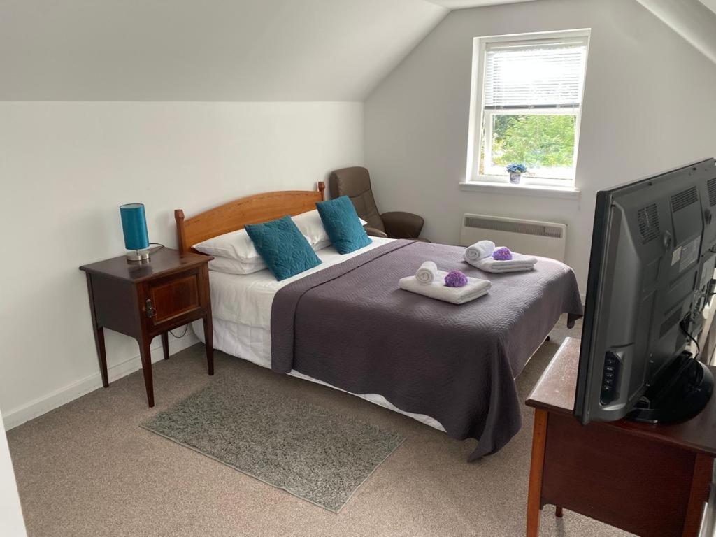 1 dormitorio con 1 cama con almohadas azules y TV en Cosy self-contained flat in Kirriemuir en Kirriemuir