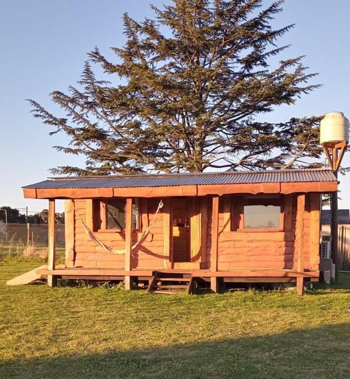 a small wooden cabin in a field with a tree at Cabaña El Cardenal in Tandil