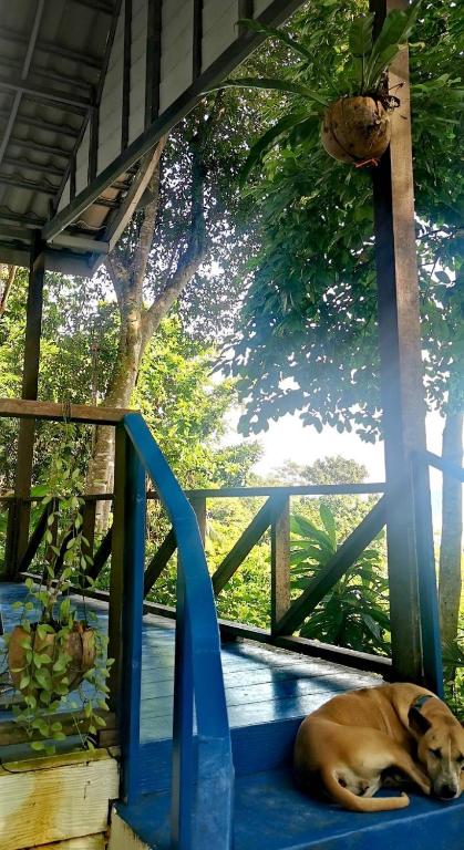 Fotografie z fotogalerie ubytování Rasta view Bangalows v destinaci Ko Chang