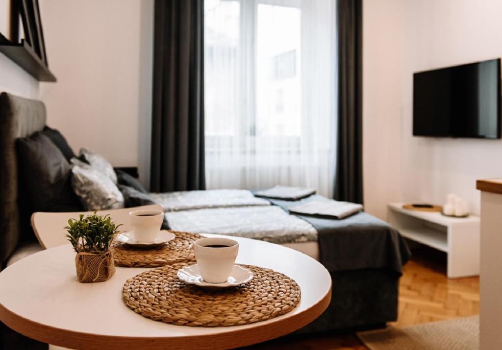 Televízia a/alebo spoločenská miestnosť v ubytovaní Memory Apartments