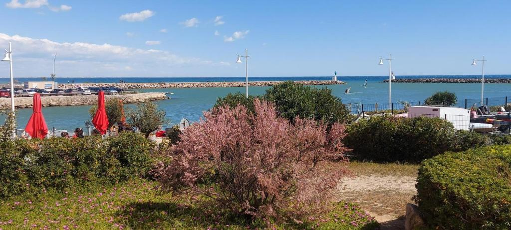 - une plage avec des parasols rouges et une masse d'eau dans l'établissement T3 Carnon, 1ère ligne 50m plage terrasse parking, à Mauguio