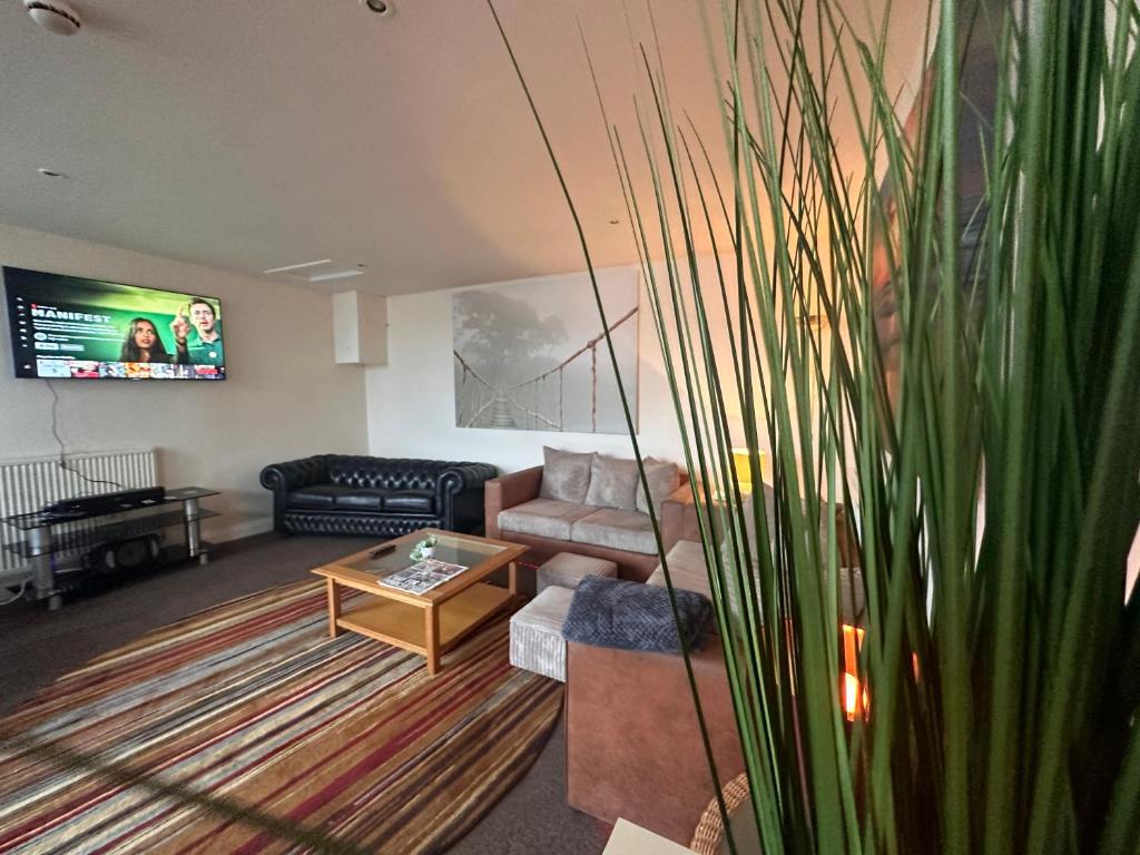 a living room with a couch and a tv at Moor Park Apartments in Preston